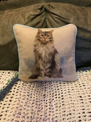 Cushions with Various images