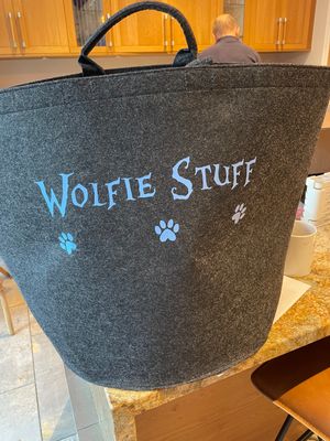 Felt Toy Trug