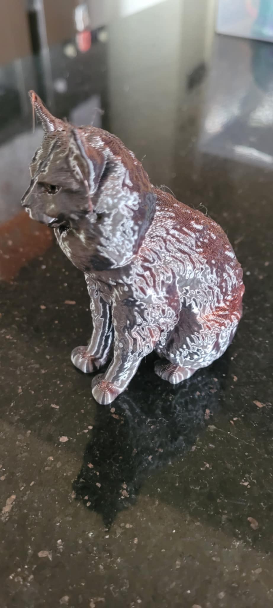 3D Maine Coon Salt and Pepper pots