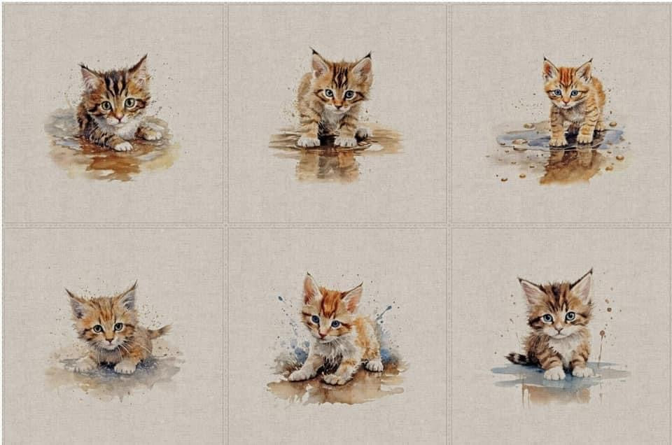 Cushions with Various images