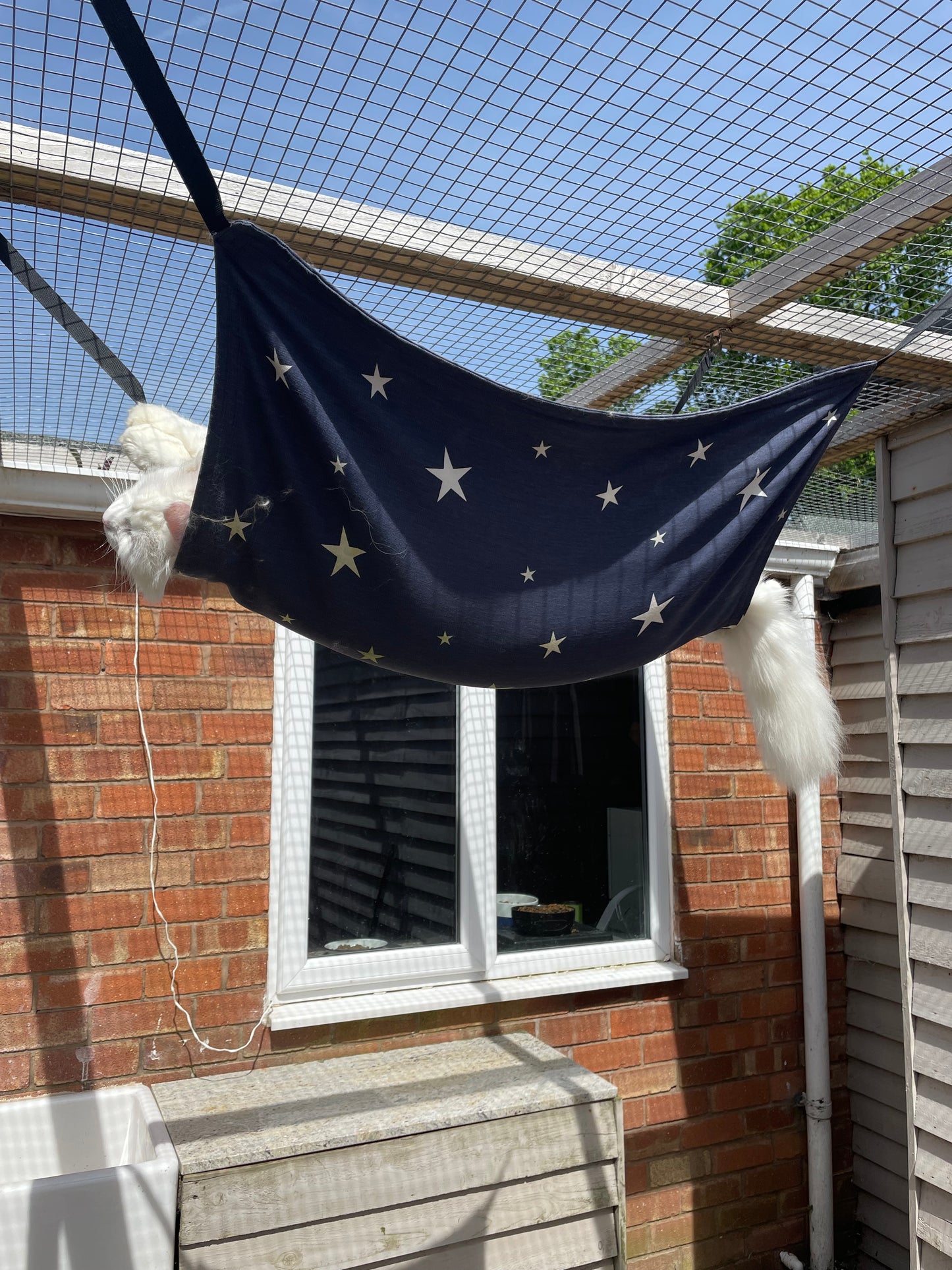 Cat Hammock