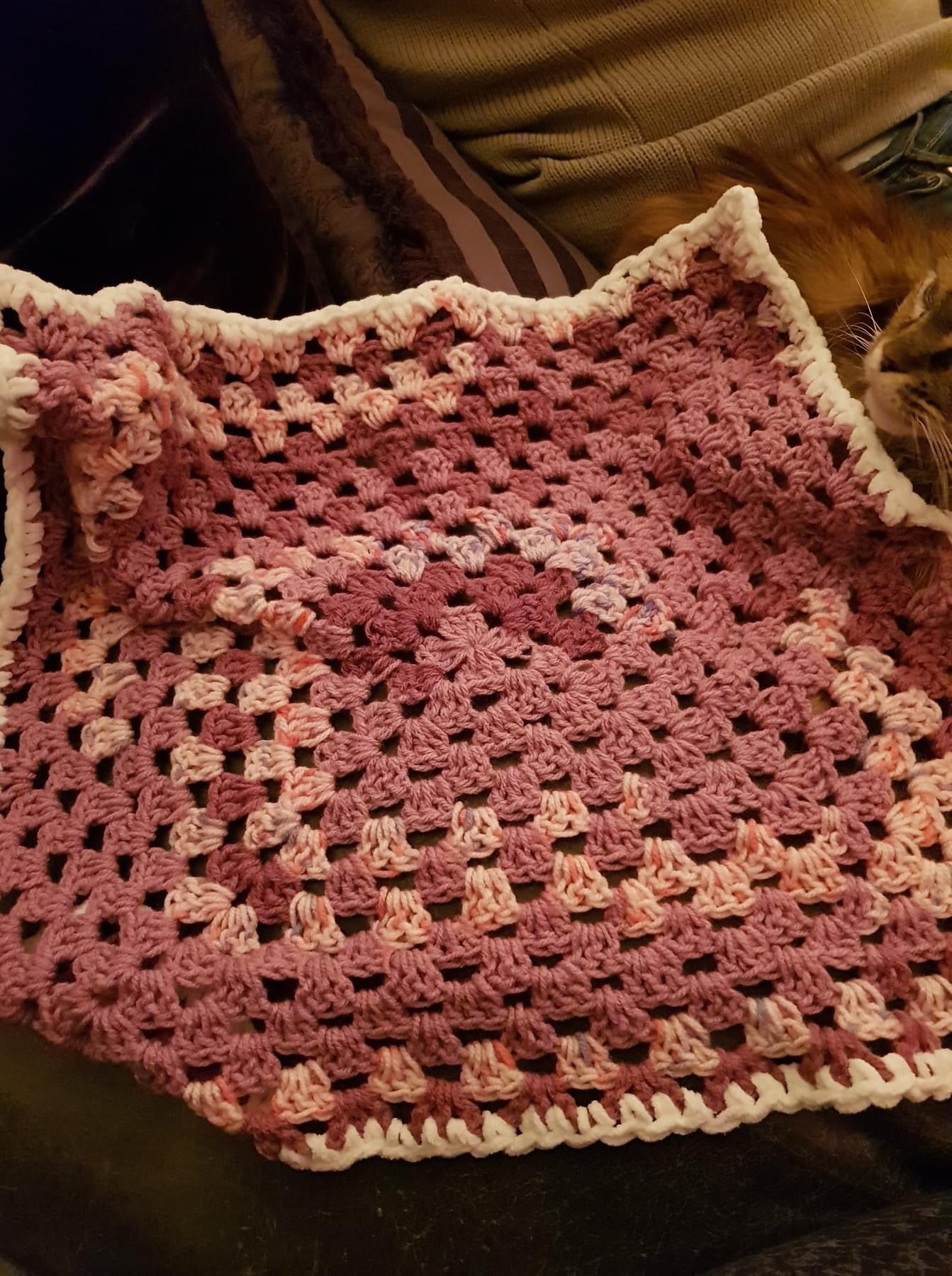 Crochet Pet Blankets