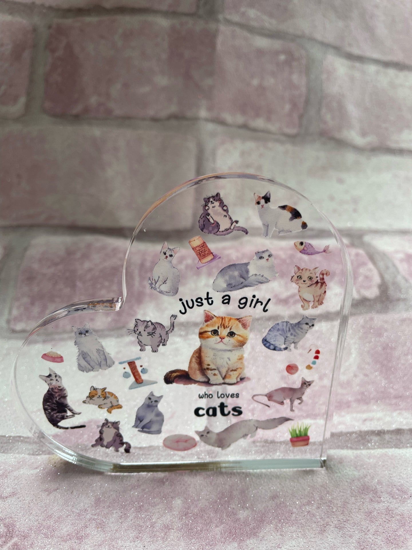 Just a Girl Who Loves Cats Acrylic Collectible Figurines