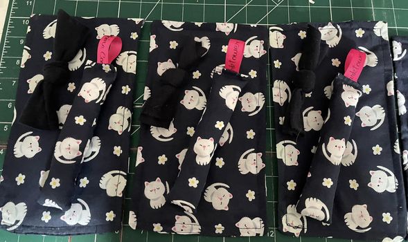 Kitten Packs
