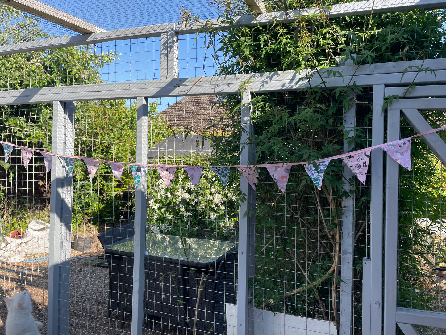 Bunting