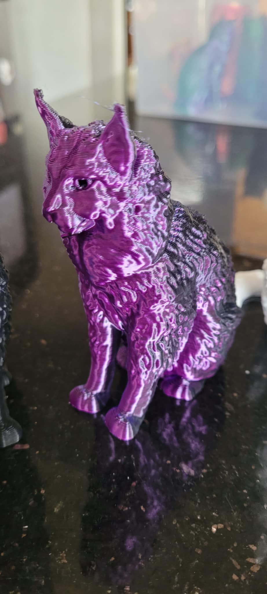 3D Maine Coon Salt and Pepper pots