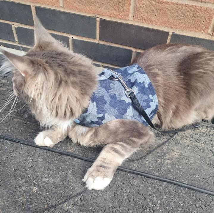 Walking Jackets