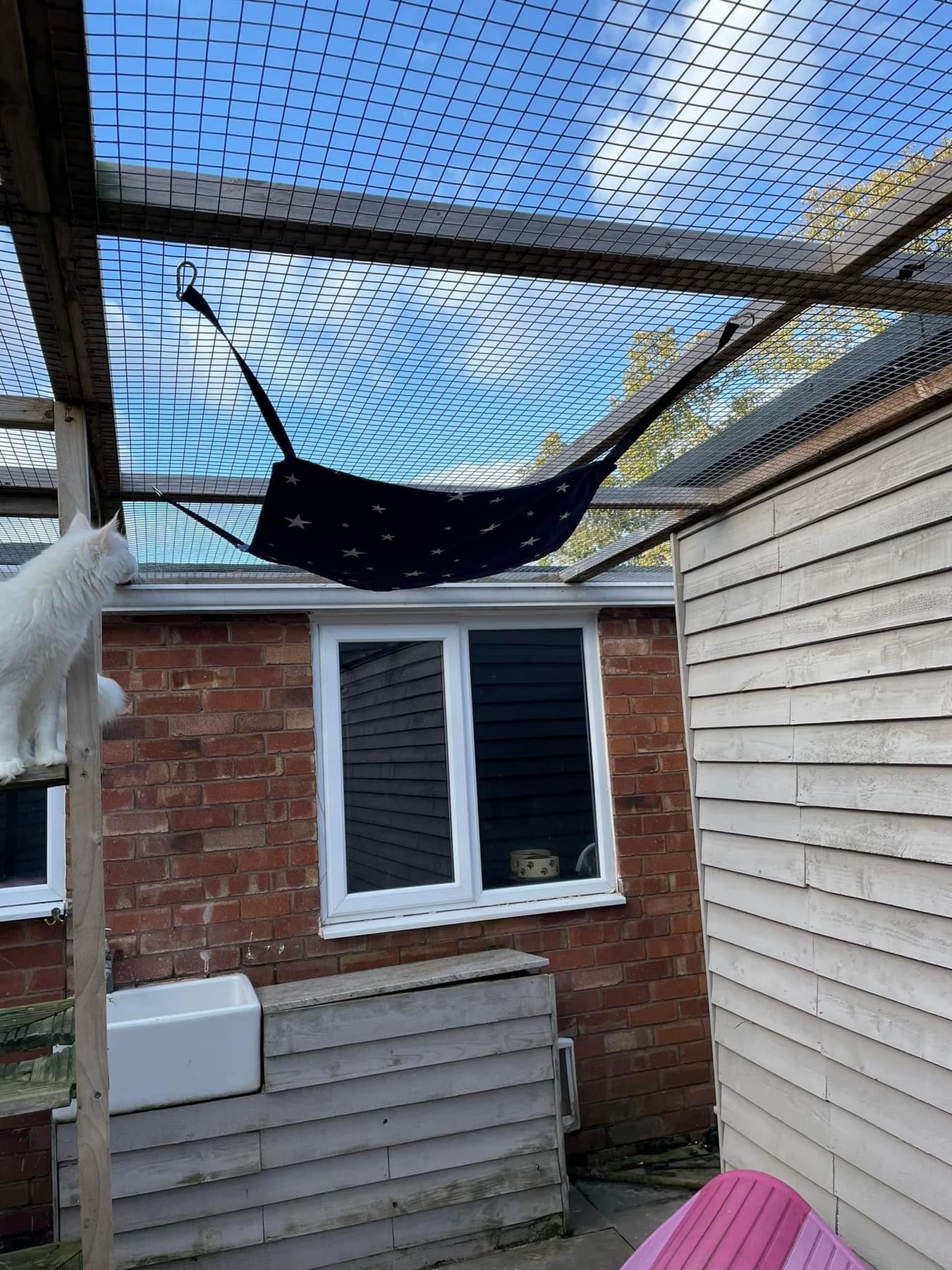 Cat Hammock