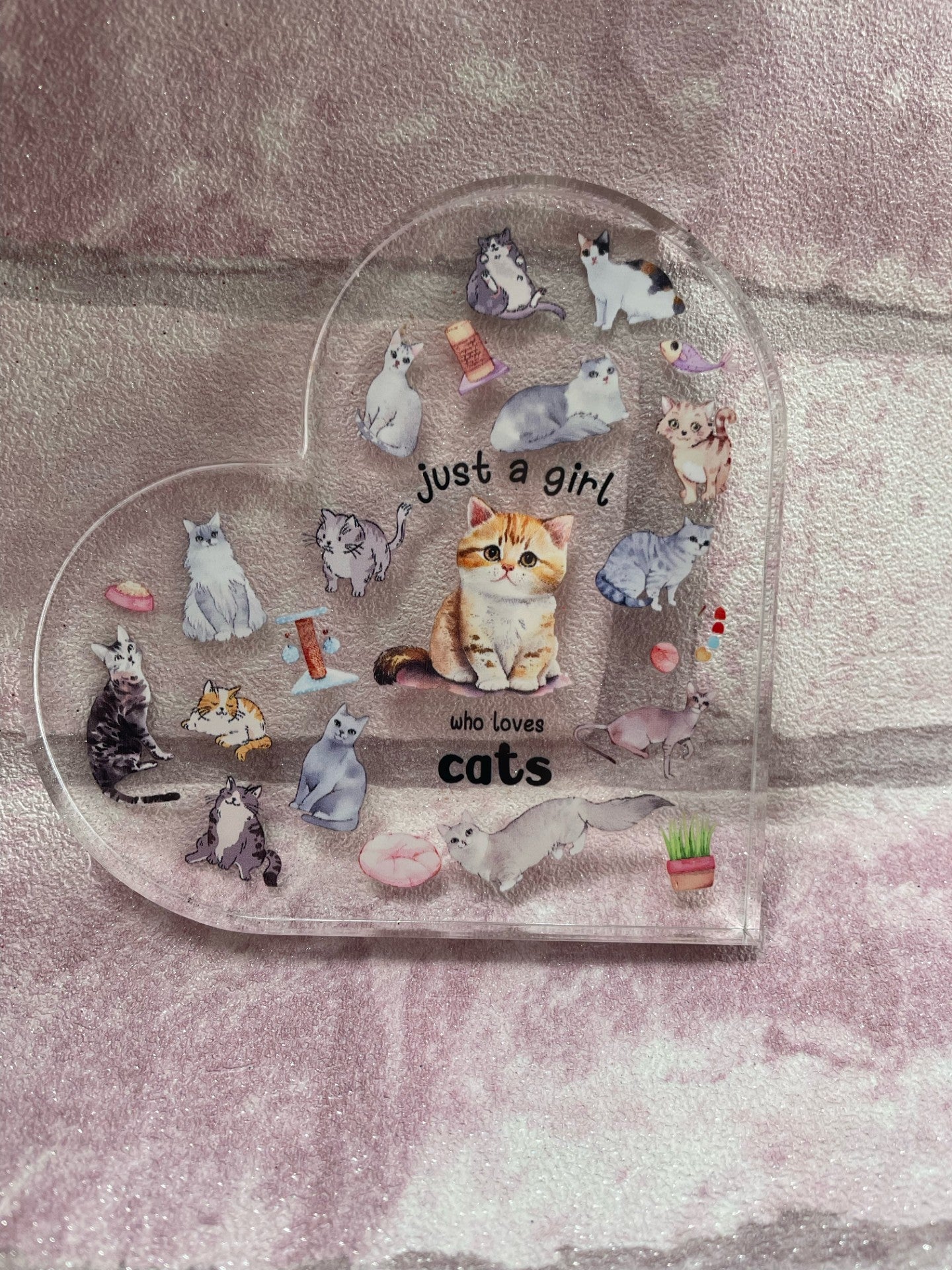 Just a Girl Who Loves Cats Acrylic Collectible Figurines
